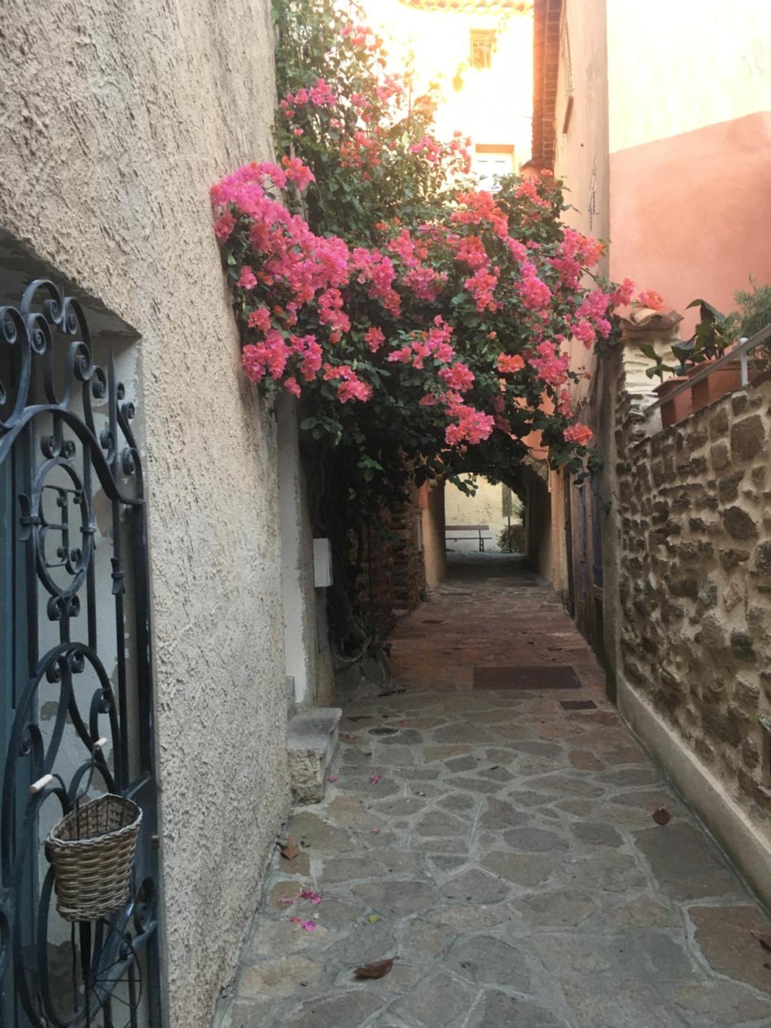 3 Pers Coeur De Village Les Mimosas Apartment *